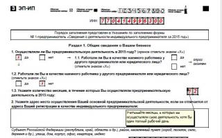 Rusya Federasyonu'nun yasal çerçevesi Form 1 bireysel istatistik doldurma örneği