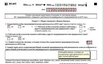Ryska federationens lagstiftningsram Exempel på att fylla i formulär 1 individuell statistik